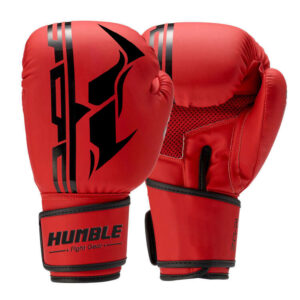 Boxing GLoves