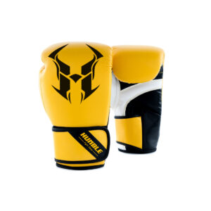Boxing GLoves