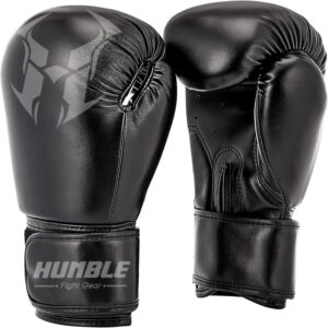 Boxing GLoves