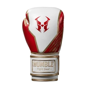 Boxing Gloves